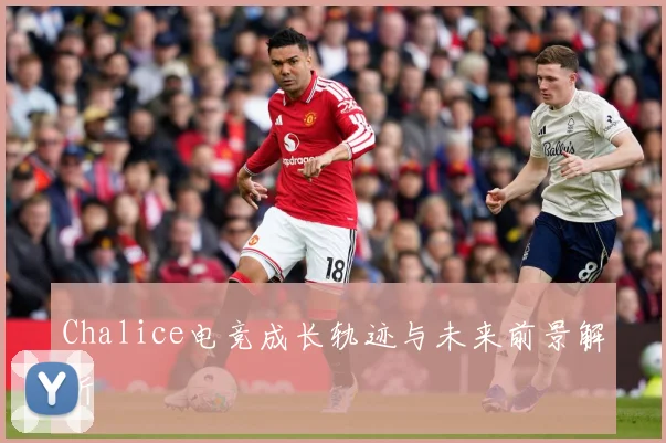 Chalice电竞成长轨迹与未来前景解析
