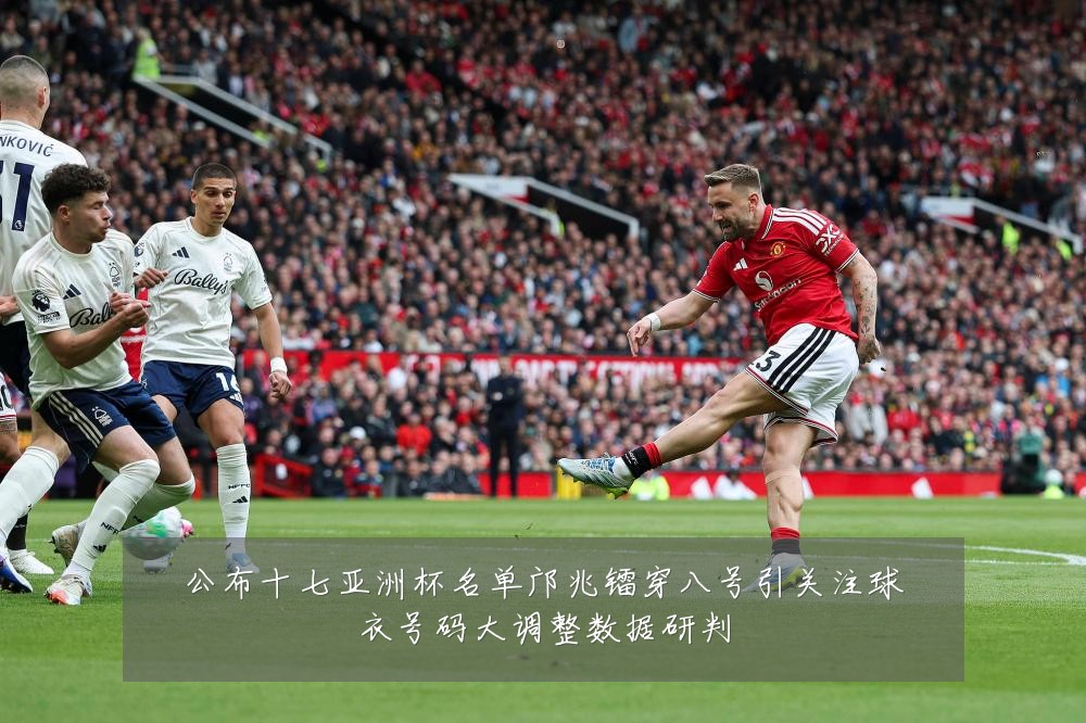 公布十七亚洲杯名单邝兆镭穿八号引关注球衣号码大调整数据研判