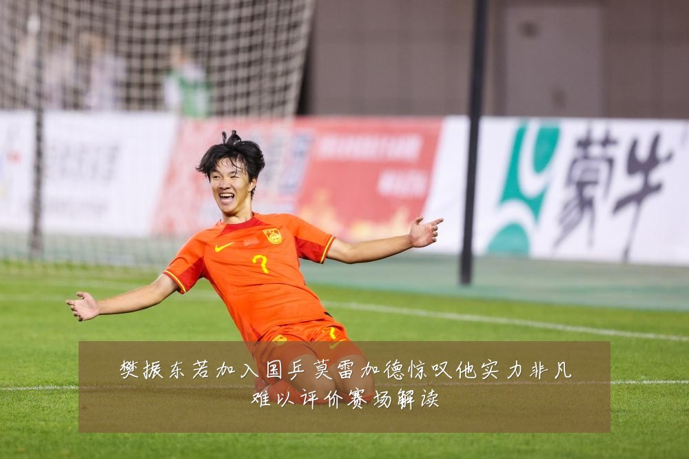 樊振东若加入国乒莫雷加德惊叹他实力非凡难以评价赛场解读